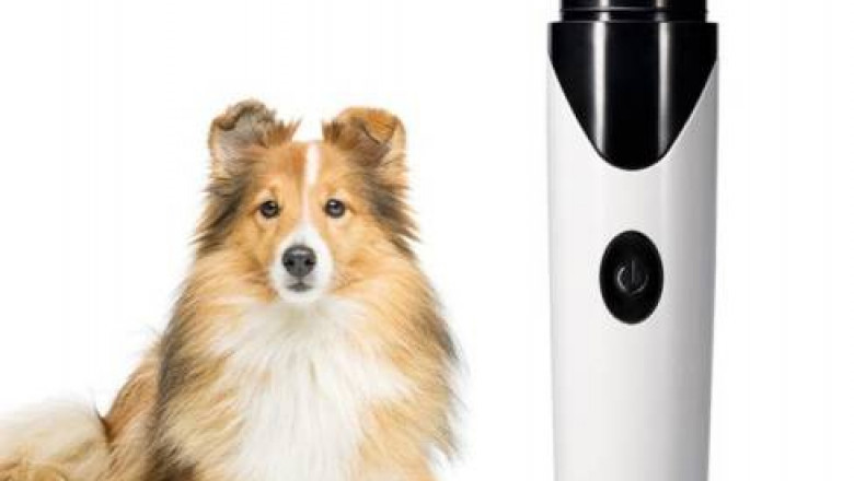 Rechargeable Professional Dog Nail Grinder – Online Is The Place To Find