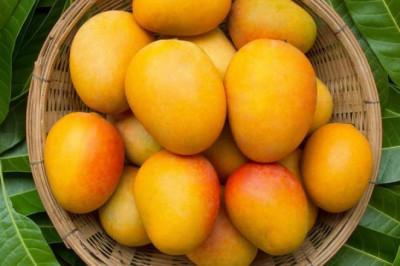 Ten Important Health Benefits Of Raw Mango