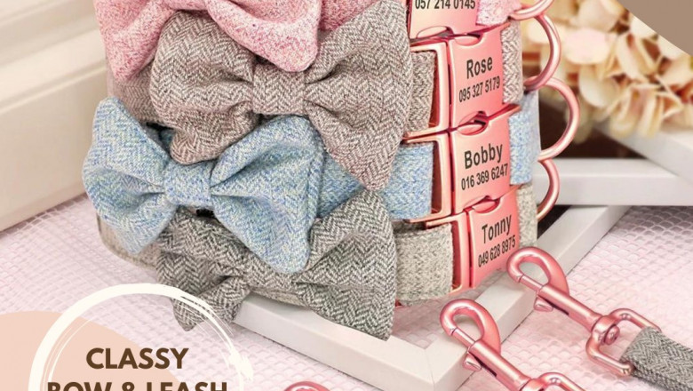 Buy all Pet Accessories with all the sizes online in the USA at Curlitail | Buy New style dog collars