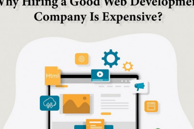 Why hiring a good website design company is expensive?