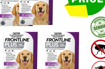 Frontline Plus for 20 To 40 Kg Dogs for Flea and Tick Treatment