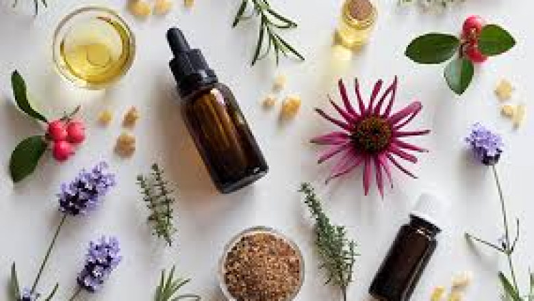 Essential Oils Market Segmentation, Analysis by Recent Trends, Development by Global Regions