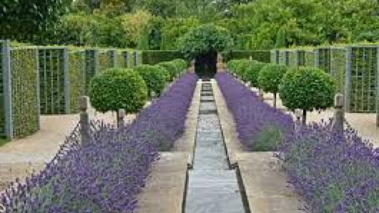 Find the Right Wholesale Plant Nursery for Your Next Project