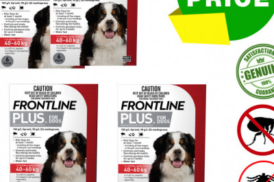 Frontline Plus for 40 To 60 Kg Dogs for Flea and Tick Treatment