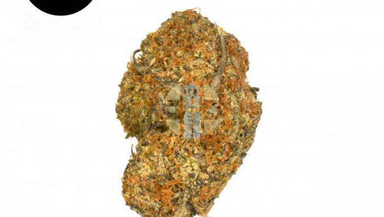 Should You Use CBD Oil If You Have Seizures?