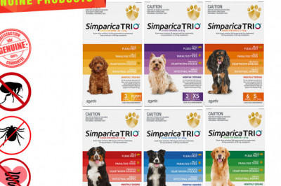 Simparica Trio 6 Chews Protect your Dog with all your heart from flea and worms
