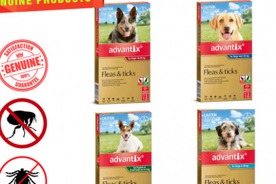 Advantix is the perfect flea and tick prevention 3 chews for Dogs