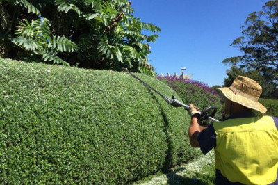 Follow These Suggestions To Get A Beautiful And Blooming Lawn