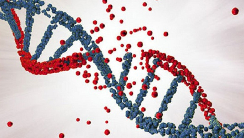 Genetic Disorders Market Trends, Key Players, Overview, Demand, Regional Forecast By 2028