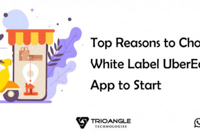 Top Reasons to Choose White Label UberEats Clone App to Start