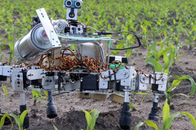 Agriculture Robots Market Regional Insights