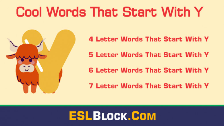 Awesome Cool Words That Start with Y