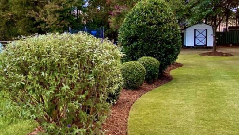 When Should You Fertilize Your Lawn and How Often Should It Be Done?