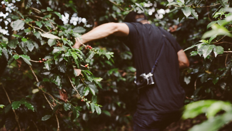 4 Reasons to Support Independently Owned Coffee Roasters