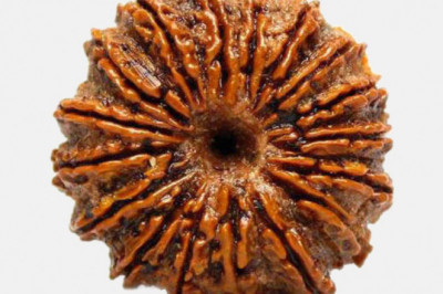 Buy Seventeen (17 Faced) Rudraksha Online In India