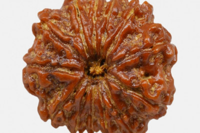 Get The Best 18 Mukhi Rudraksha Online