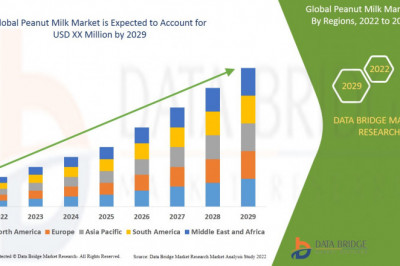 Peanut Milk Market Trends, Share, Segmentation, Opportunities & Strategies Projection till 2029 - Hebei Chengde Lolo Co.,Ltd., YILI., Elmhurst 1925,  Nutrinity Foundation