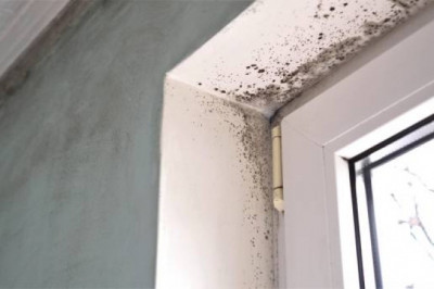 most effective ways to manage the humidity within your home?