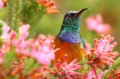 5 Best Places To Visit In Bloemfontein