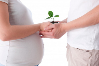 How to Boost Your Fertility? Learn From The Best Fertility Expert in Siliguri