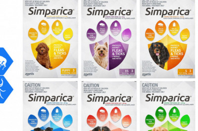 SIMPARICA for All Sizes Dogs 3 Chews Flea and Tick Treatment