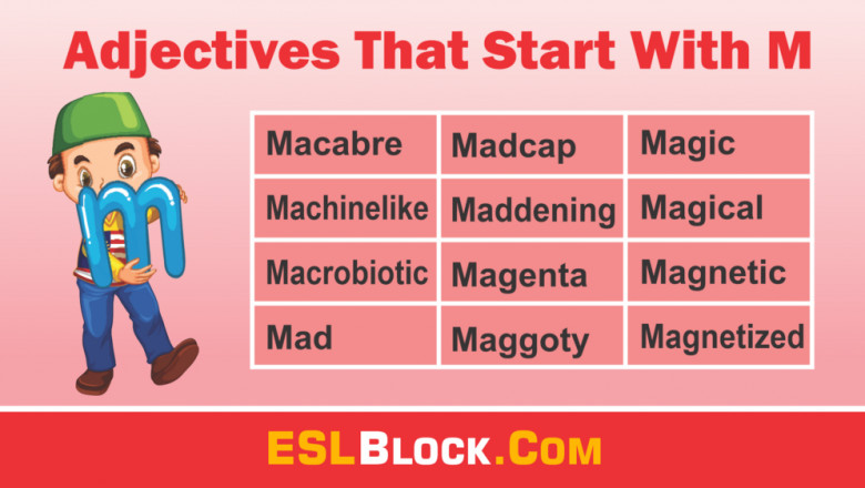 Adjectives That Start With M