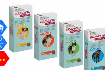 BRAVECTO for Dogs MONTHLY 1 chews Flea and Tick Treatment