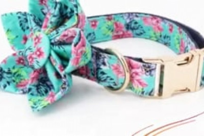 Online Pet Accessories store in the USA | Buy New style dog collars