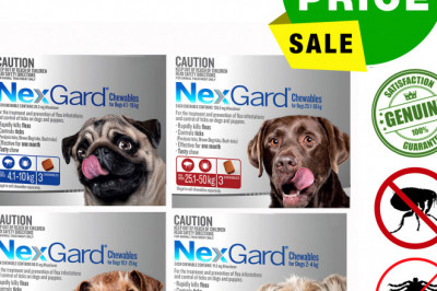 NEXGARD Monthly Chews Flea and Tick Protection for Dogs