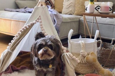 Floor Rug Styles in The Pantone Color Of 2022 - The Rug Republic