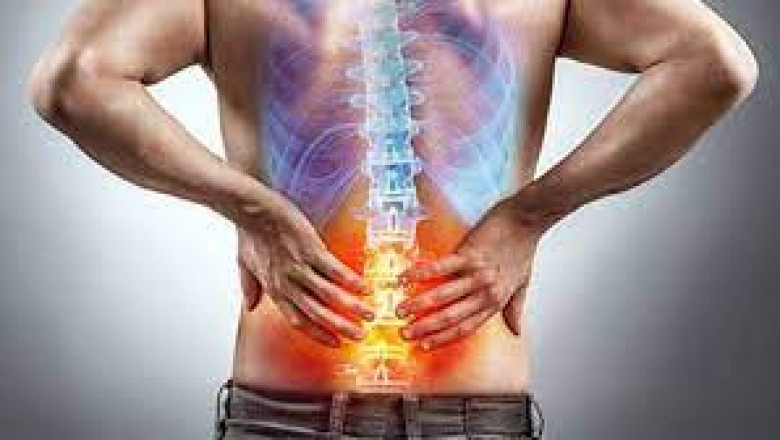 What is the most common cause of back pain?