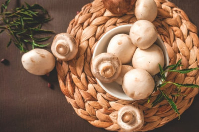 5 Most Profitable Crops to Grow