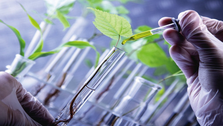 Bio-Based Chemicals Market Segmentation, Analysis by Recent Trends, Development by Global Regions