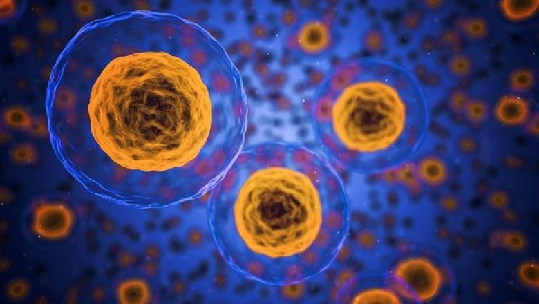 Host Cell Protein Testing Market: Industry Analysis, Opportunity and Forecast to 2027