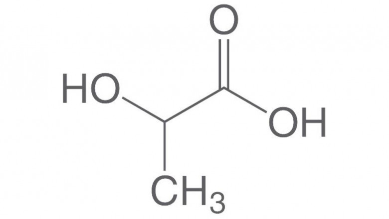 Lactic Acid Market Information, Figures, and Analytical Insights 2021– 2028