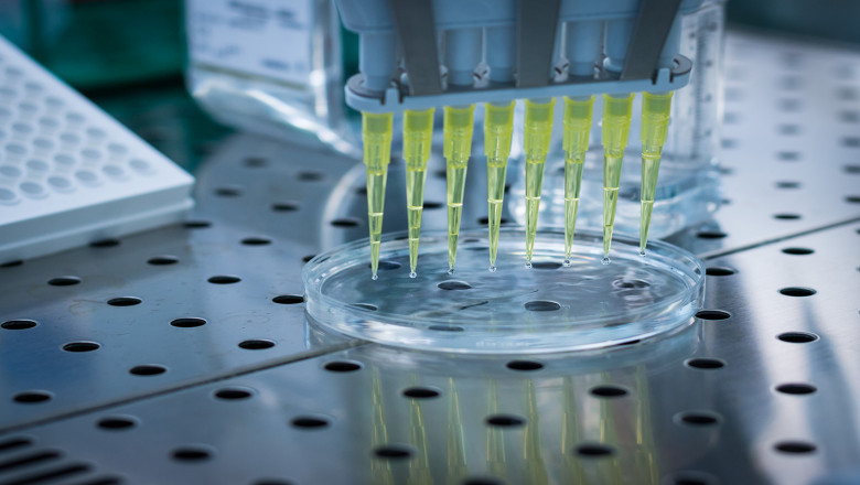 Multiplex Assays Market Report Forecast 2022-2030 By Price, Trend, and Growth