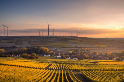 Top 10 wheat exporting countries