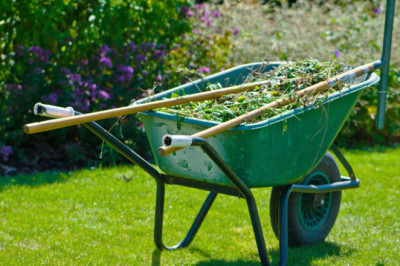 5 reasons why Choose Kangaroo Paw Landscapers: