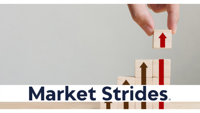 Nootkatone Market Insights, Forecast to 2030| Evolva, Isobionics, Aromor