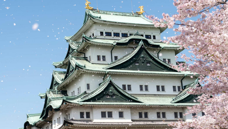 Things You Need To Know Before Your Japan Group Tour