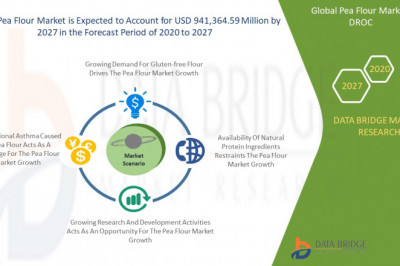 Pea Flour Market Trends, Insights, Future Scope with Top Players: AGT Food and Ingredients, Bob’s Red Mill Natural Foods, Batory Foods, Limagrain Holding Group