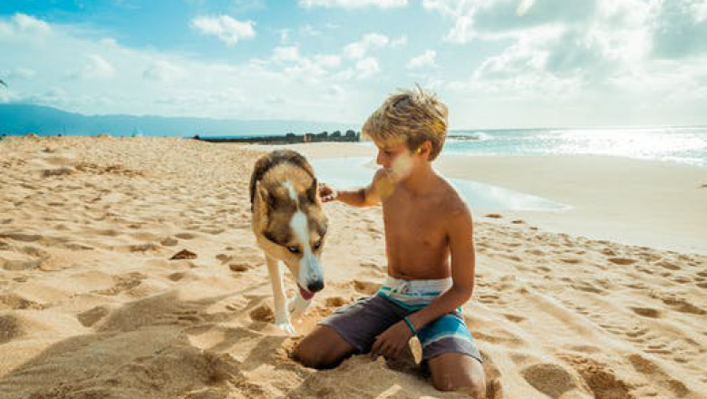 5 Things Children Can Do in Fort Myers Beach
