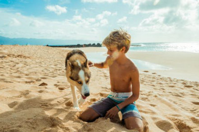 5 Things Children Can Do in Fort Myers Beach