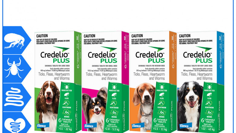 Credelio Plus 6 Chews for All Sizes Dogs Flea Tick Heartworm Control