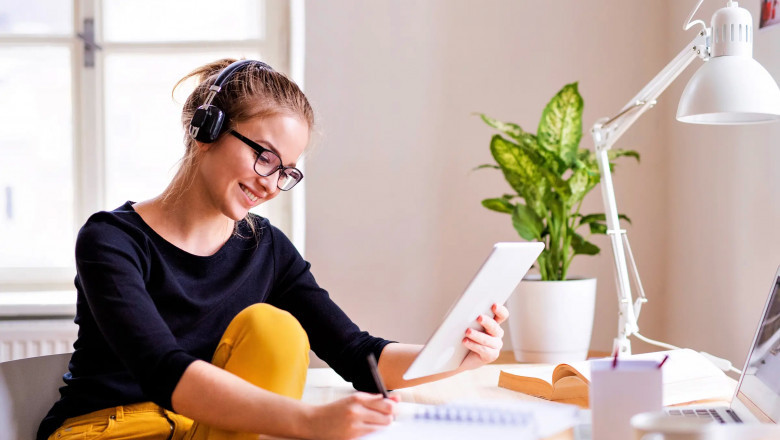 Essays on Government