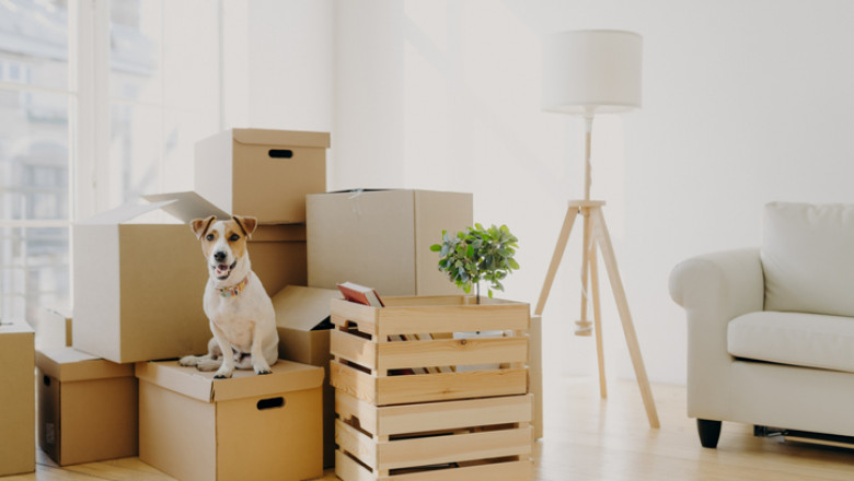 How To Experience A Trouble-Free Relocation?