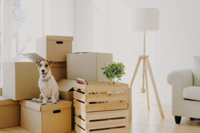 How To Experience A Trouble-Free Relocation?