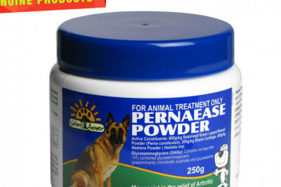 Pernaease 250 Gm Powder Joint Health Care for Dogs