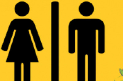 Quirky Stickers for Your Everyday Use