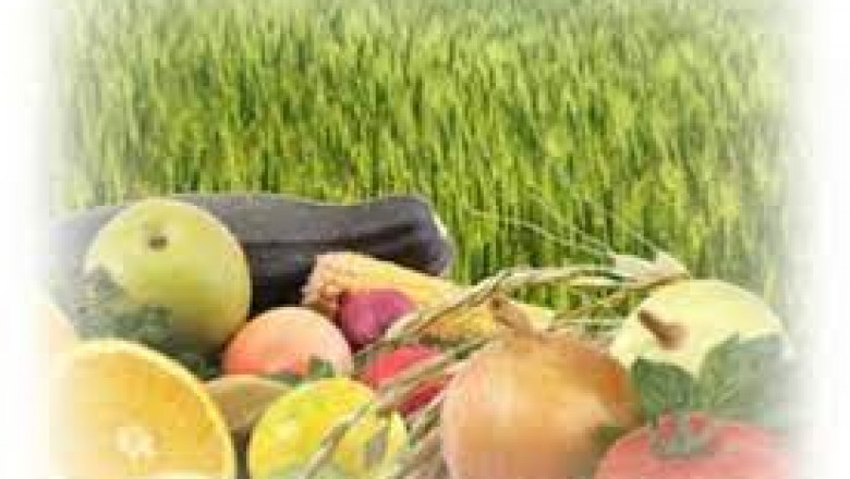 Agricultural Enzymes Market Growth Prospect, Future Trend, Comprehensive Analysis and Forecast